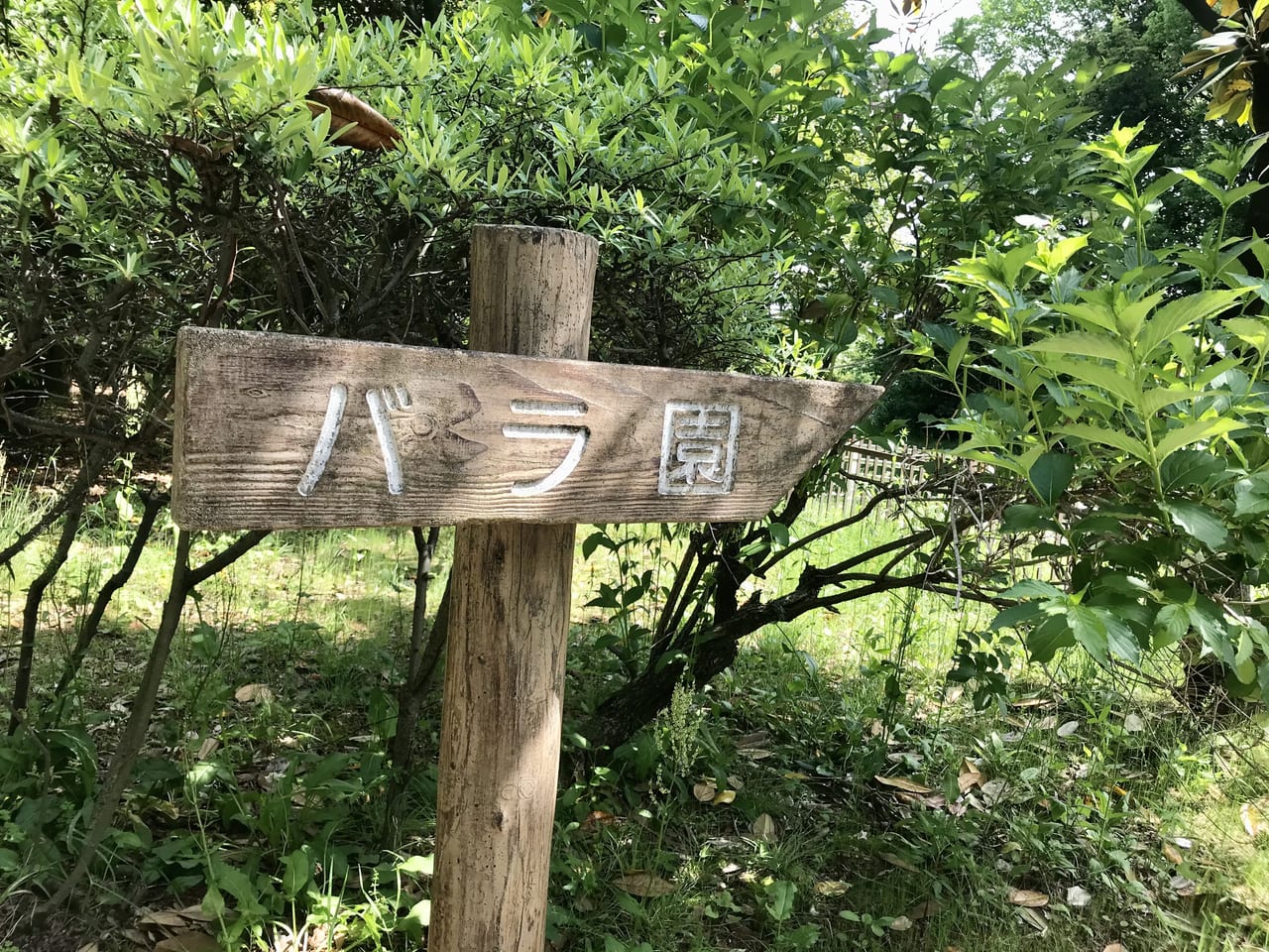 バラ園の看板