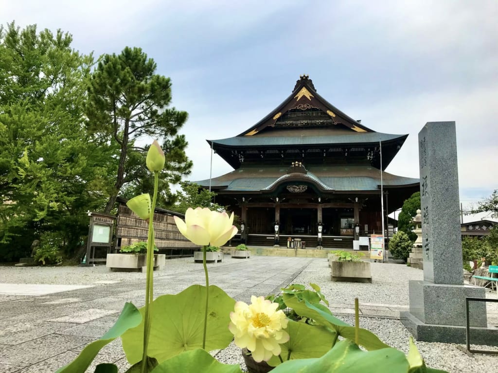 善光寺蓮の花