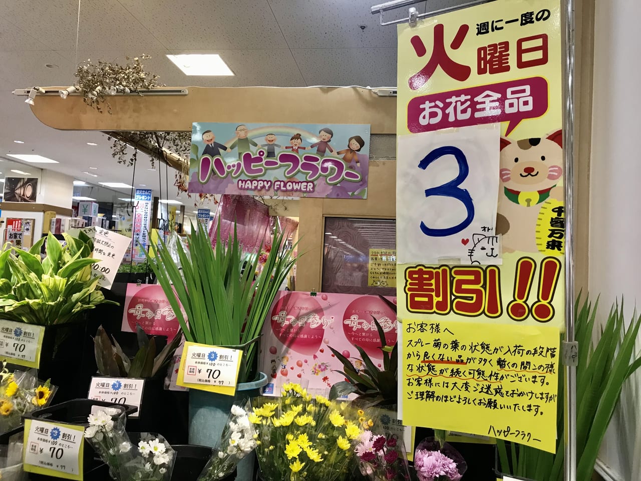 清須市 ヨシヅヤ清洲店の ハッピーフラワー でお花バイキングはいかが おうちの中が明るくなります 毎週火曜日はさらに３割引に 号外net 稲沢市 清須市